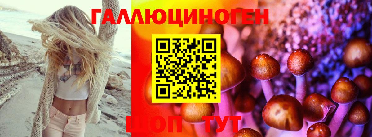 Псилоцибиновые грибы мицелий  Вход с VPN  Амурск 