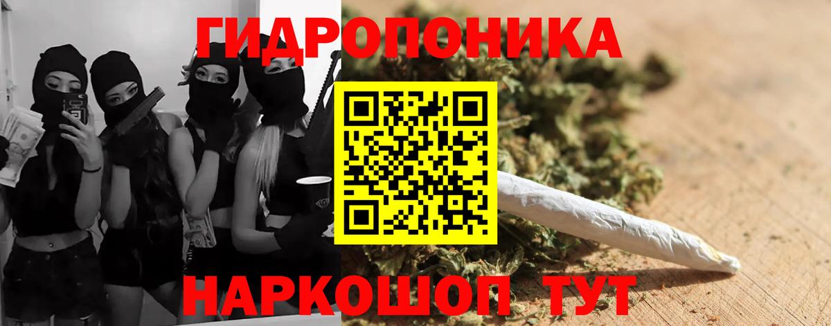 Бошки Шишки план Амурск